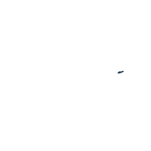 Company-logo-1-1