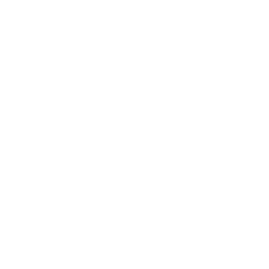 Company-logo-1-13