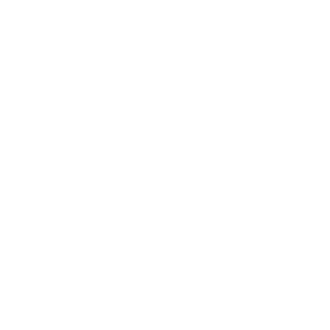 Company-logo-1-3