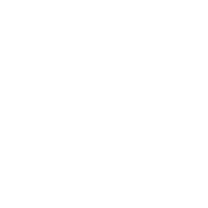 Company-logo-1-4